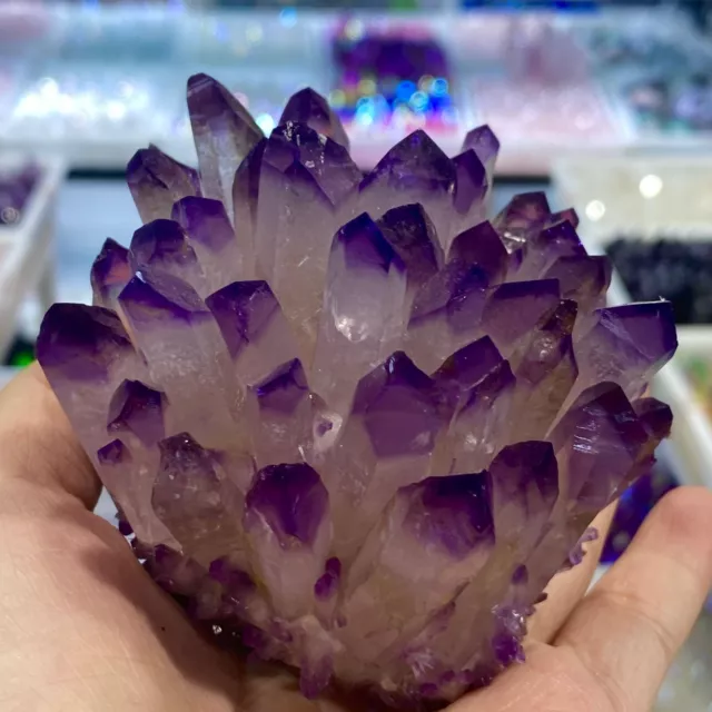 400g+ New Find Purple Phantom Quartz Crystal Cluster Mineral Specimen