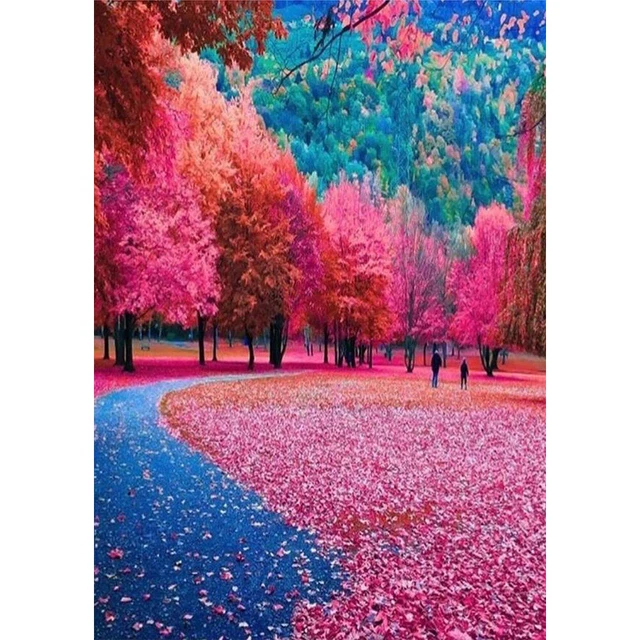 Pintar por números para adultos y principiantes, Pintura al óleo Hágalo Usted Mismo por Números, Kits a