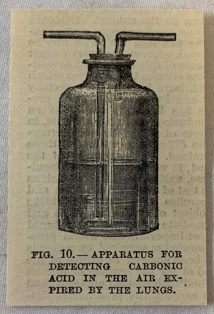 1885 Pequeño Revista Grabado ~ Aparato Para Detección Carbónico Ácido En Las
