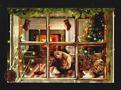 Christmas Kitten Cat Window Sleeping Tree Fireplace Greeting Card - W/ TRACKING