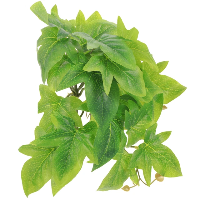 BEAFACE Supporto per piante da davanzale a 4 livelli in acrilico, portavasi sospeso, mensola portaoggetti, altezza regolabile, adatto per la cucina. | Leroy Merlin