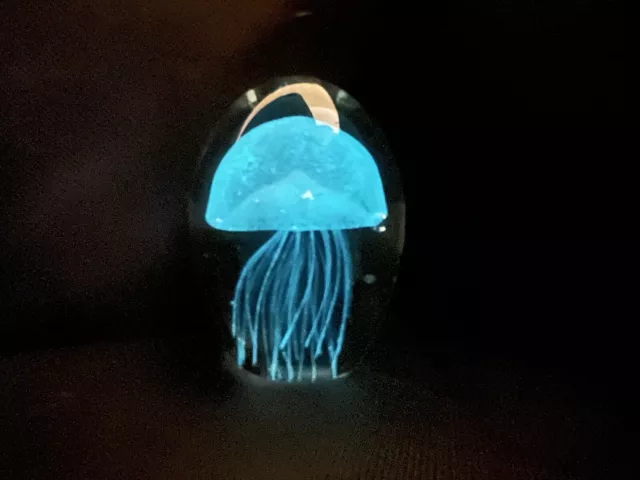 Jellyfish Art Glass Paperweight Glows In The Dark