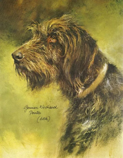 German Wirehaired Pointer #2 - CUSTOM MATTED - Dog Art Print - Poortvliet