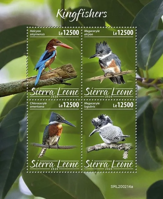 KINGFISHERS 4-Value MNH Birds/Bird Stamp Sheet #674 (2020 Sierra Leone)