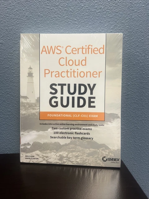 AWS CERTIFIED CLOUD PRACTITIONER CLF C01 EXAM GUIDE PDF visual data 7
