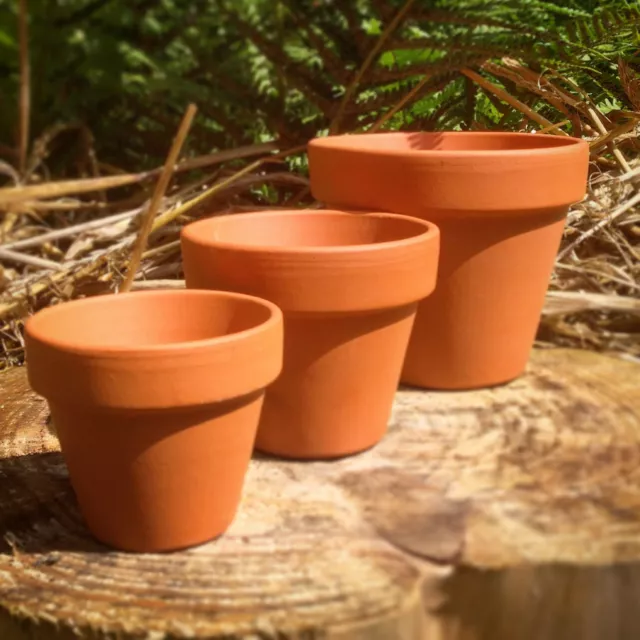 Vintage Style Terracotta Plant Pots 1~50 pcs, 5 different sizes, Bulk, Wholesale 2