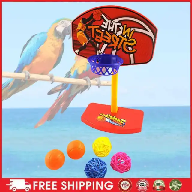 Ziervögel kauen Sittich Bell Kugeln Papagei Spielzeug Birdie Basketball Hoop Pro