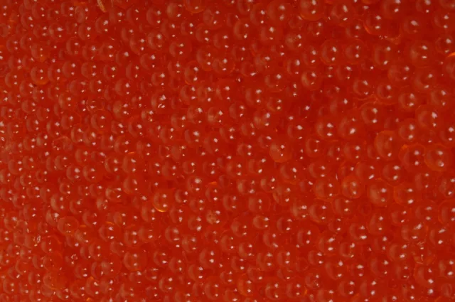 500g (1Kg / 196 €) Fresco Wild Keta Caviale di Salmone 2x250 G (Salmon 500gr)