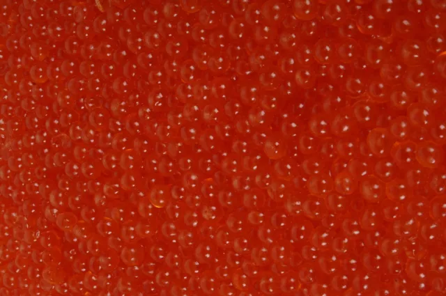 500g (1Kg/196 €) Frischer wild Keta Lachskaviar 2x250 g ( Salmon Caviar 500gr )