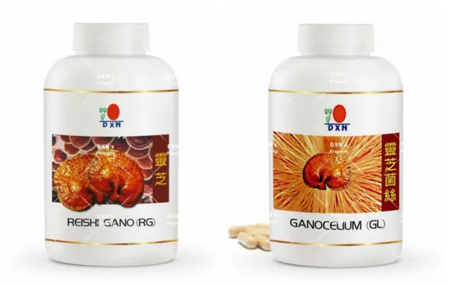 Dxn N.360 Capsule Reishi/Ganoderma Lucidum Biologico + Dxn 360 Capsule Mycelium