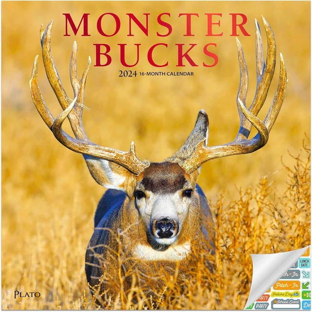 MONSTER BUCKS CALENDAR 2024 Deluxe 2024 White Tailed Deer Wall