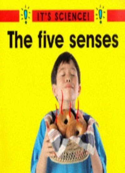 THE FIVE SENSES (It's Science!) By Sally Hewitt EUR 47,93 - PicClick FR