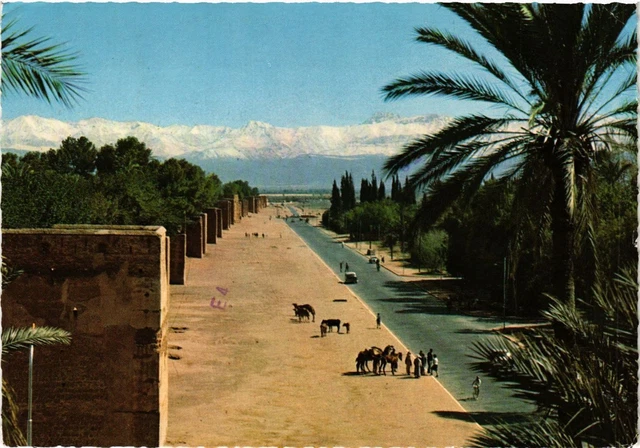 CPM MOROCCO Marrakech - The ramparts and the great Atlas (343102)