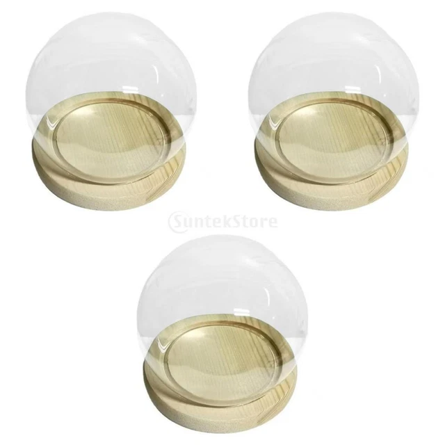 3 Stück Glas Display Cloche Bell Jar Dome Cover Flower Preservation Wooden