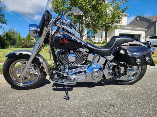 HARLEY DAVIDSON 100th ANNIVERSARY SADDLEBAGS FATBOY SOFTAIL