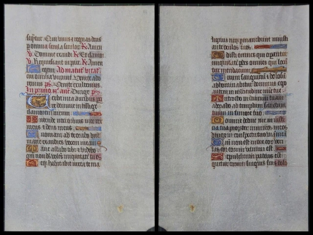 Illuminierte Grafia Su Pergamena Foglia Di Uno Miniatura Um 1500 (060)
