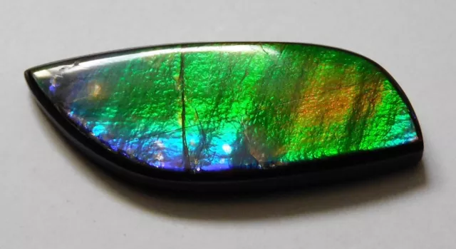 10.95 Ct Natural Canadian Ammolite Cabochon Loose Gemstone 28.7X10.6X3.9MM DH38