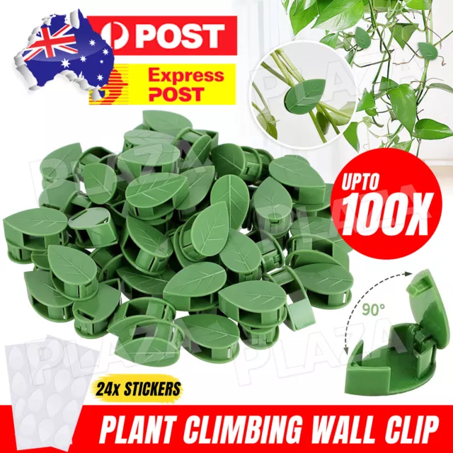 Invisible Vine Plant Clips Rattan Plant Climbing Wall Clip Wall Vine Fix Fixture