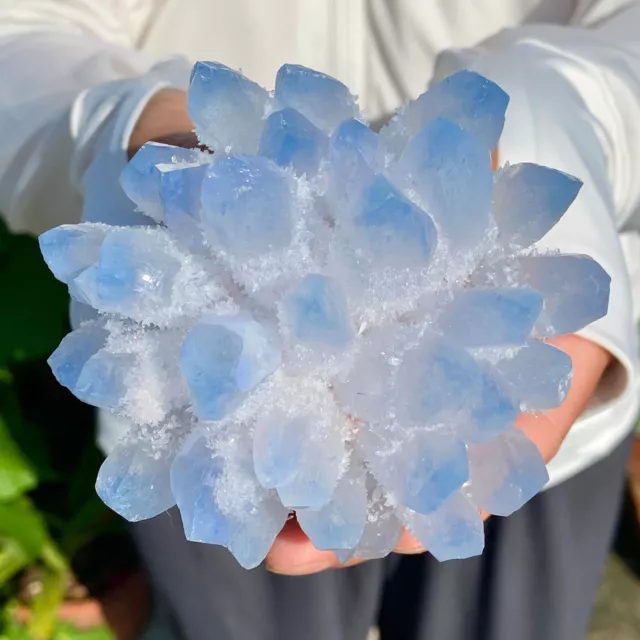 441G New Find sky blue Phantom Quartz Crystal Cluster Mineral Specimen Healing