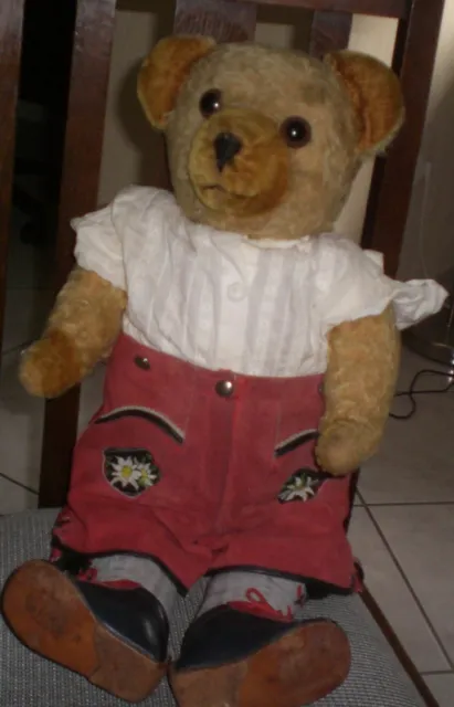 Very Nice & Old Thuringia Teddy Bear