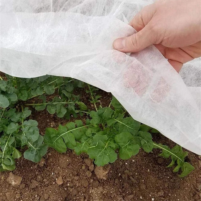Copertura Pianta Copertura Piante Protezione Accessori Trasparenti Gelo 4