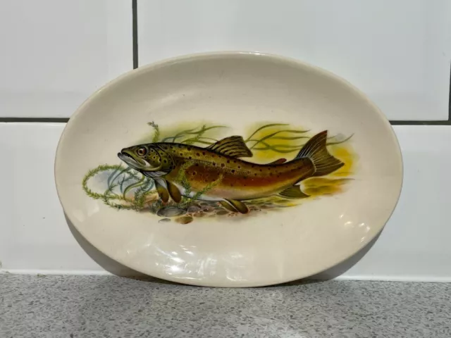 West Highland Pottery Co Ltd Salmon / Trout Oval Plate Dunoon Argyll Scotland