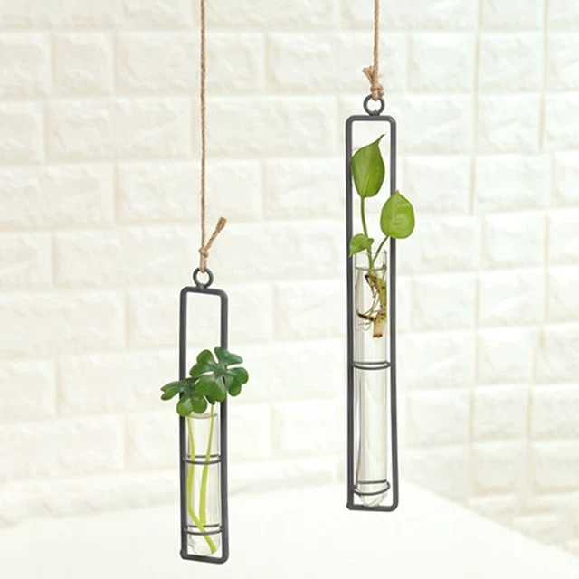 Mini pot de fleurs suspendu au mur en fer verre de jardin hydroponique transpare