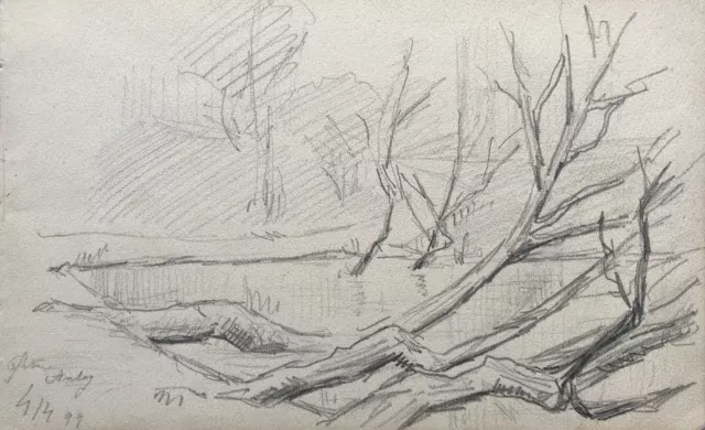 Dibujo Studie Lápiz Orilla Con Kahlen Liegenden Árboles Lago Fechado 1899