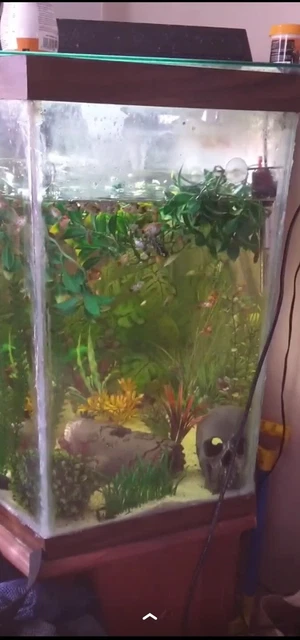 Aquarium Hexagon Tank 30 Gallon with Stand and accessories