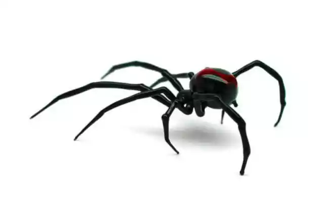 Hand Blown Glass Spider Collectible Figurine Blown Glass black Widow Figurine