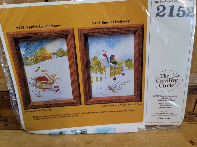 Kit de bordado vintage 1982 Creative Circle #2152 entrega especial NUEVO