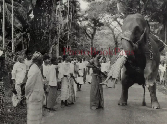 Ceylon, Sri Lanka, Eingeborenen Mit Elefant Foto Stereo Vintage P73L8n