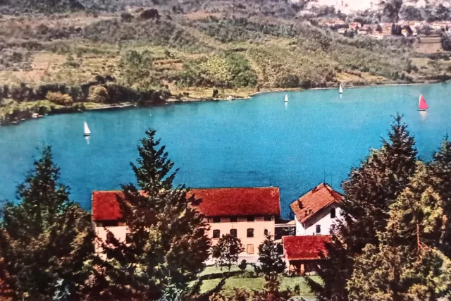 Cartolina - Lago d'Orta - Ameno - Colonia Vigevanese - 1950 ca.