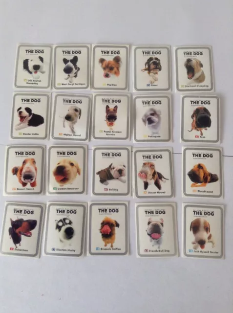 Matutano The Dog 20Cromos Adhseivos