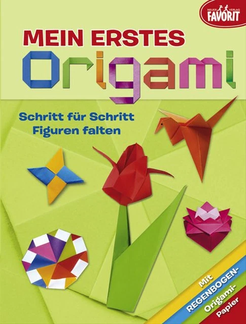 Mein erstes Origami. Schritt für Schritt schöne Papiermodelle herstellen [Tasche