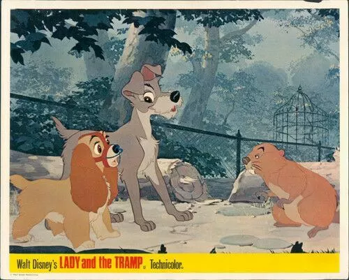 Lady And The Tramp Original Walt Disney Animation Lobby Card  Rare Beaver Dogs