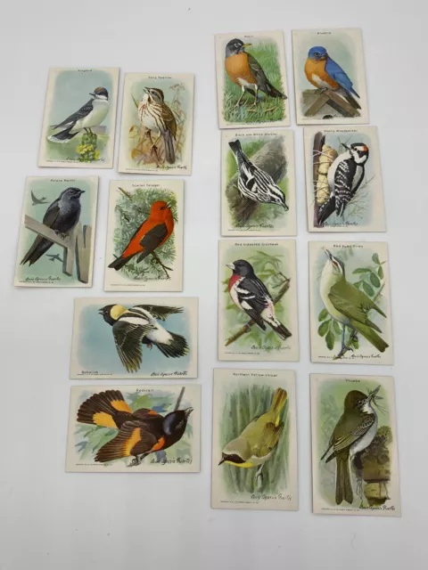 ARM & HAMMER TradingCards “Useful Birds Of America”  Advertising 9th Series -14