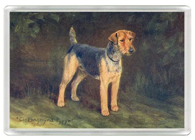 Welsh Terrier Dog Art Print Novelty Acrylic Fridge Magnet   Great Gift