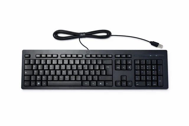 Clavier Lenovo IBM SK-8820 - AZERTY FR 105 Touches - Port PS/2 - Très Bon état - Vintage PC