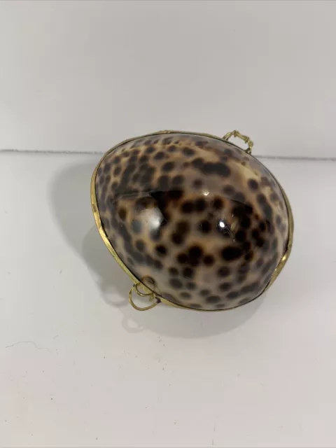 Vintage Genuine Cowrie Shell Trinket Box Brass Edges Clasp 3”