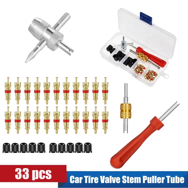 Iwobi Kit Riparazione Valvole Pneumatici 4 In 1 - 33 Pezzi - Con Estrattori E 20 Nuclei Di Ricambio - Per Auto, Moto, Bici