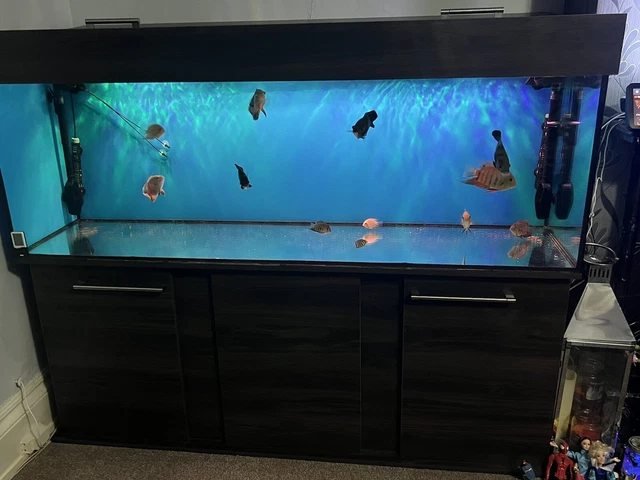 fish tank used