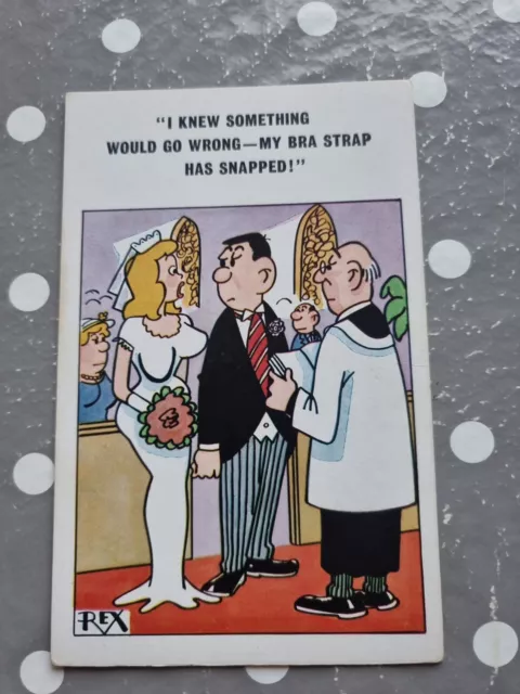 Vintage Saucy Seaside Comic Postcard Constance Series No 5009 By REX