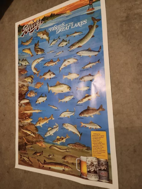 Very Nice 1991 Blatz Beer Fishes of the Great Lakes Poster - Clean