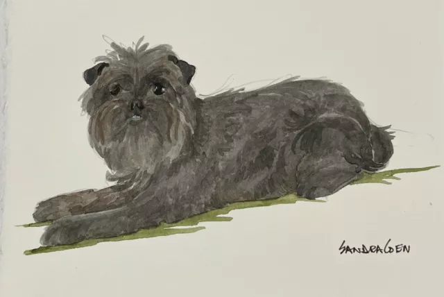 Affenpincher Original Watercolor Lying study by Sandra Coen Affenpincher Original Watercolor Lying study by Sandra Coen
