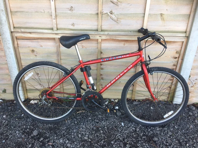 2006 giant mountain bike