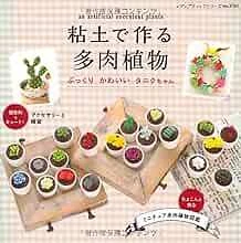 Lady Boutique Series no. 3705 Handmade Craft Book Clay Succulents Japan form JP