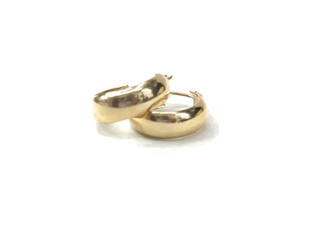 Gold Filled Hoop Earrings 14kt