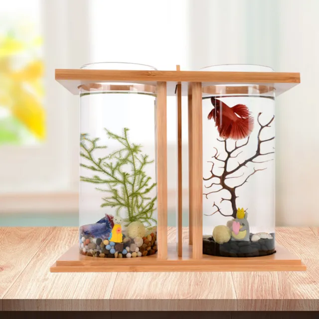 Desktop Ecological Dual Transparent Glass Bowl Fish Tank Small Aquarium Decora 2