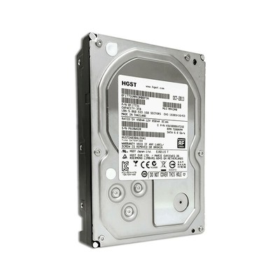 HGST HDD Western Digital WD Disque Dur 3TB Tera SATA 3,5” WD3000FYYZ Ordinateur Fixe 
